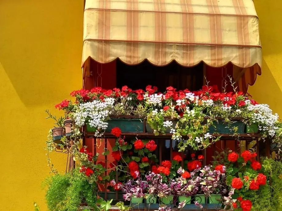 Bed & Bike Belfiore Montagnana  Montagnana (Veneto)